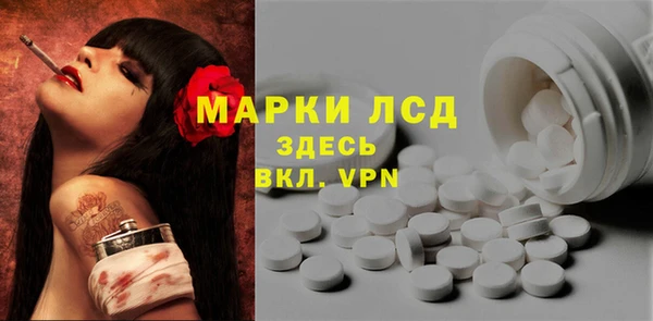 винт Алзамай